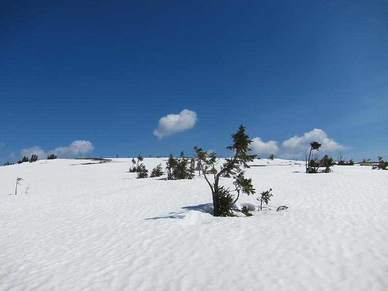 Hochwechsel